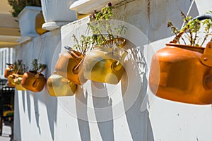Copper kettles with plants hanging on white wall