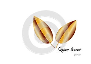 Copper leave jewelry concept on white background,Vector illustratio