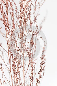 Copper painted plants on light gray background. Minimal trendy concept. Autumn still life trend color