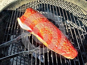 Copper River Salmon on the Grill