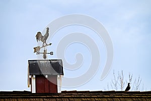 Copper rooster weathervane on a red barn with a pigeon for company, against a blue sky