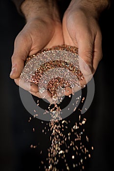 Copper shavings in the hands of the workers.