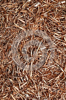 copper shavings in macro on tapete after production