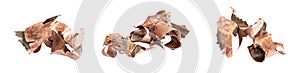 copper shavings on a white isolated background