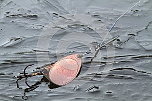 Copper spinner lies on the rim ice