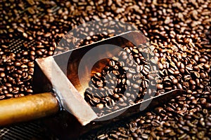 Cobre cuchara en granos de café 