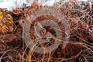 copper wire scrap from electric cable recycling.
