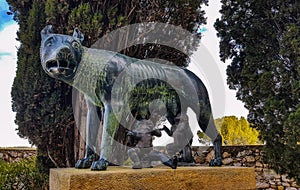 A copy of an ancient bronze statue of the Capitoline she-wolf br