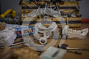 A copy of a human tooth cast in plaster