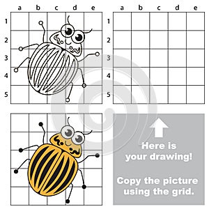 Copy the image using grid. Potato Bug.