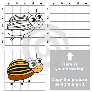 Copy the image using grid. Potato bug.