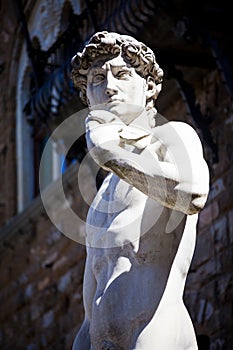 Copy of Michelangelo`s David in Florence