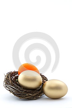 Copy space above red and gold nest eggs