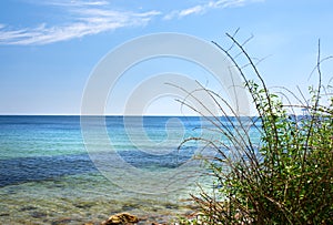 Copy space at sea with green plants and a blue sky background. Calm ocean waves along the beach coast with a sailboat
