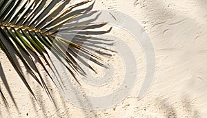 Copy space of shadow palm leaf on sand beach texture background
