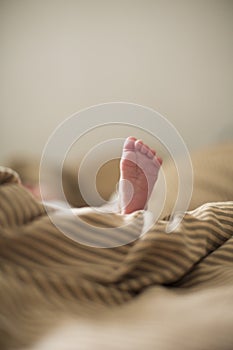 Copy space shot of a cute newborn baby foot on a brown beige blanket in bed with a bokeh blurred background
