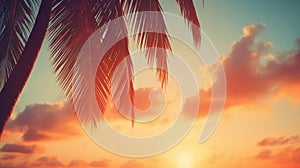Copy space of silhouette tropical palm tree with sun light on sunset sky and cloud abstract background. Summer vacation and nature