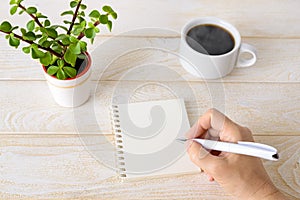 Copy space on a spring notepad. Woman hand holding ballpoint pen and going to write in paper notepad near small potted plant and