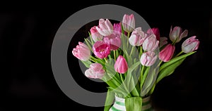 Copy space of tulip flowers in a vase against a black background. Closeup of beautiful flowering plants with pink petals