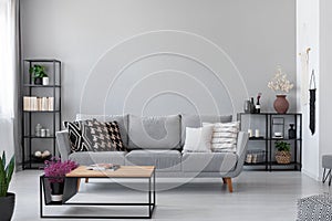 Copy space on the wall of scandinavian living room with modern couch, metal shelves and industrial coffee table