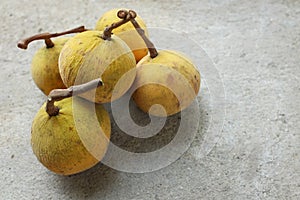 Copy spaceFresh Ripe Santol or Sentul fruit Sandoricum koetjape isolated on On cement floor background.Tropical fruits of Thailand