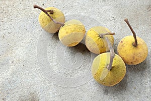 Copy spaceFresh Ripe Santol or Sentul fruit Sandoricum koetjape isolated on On cement floor background.Tropical fruits of Thailand