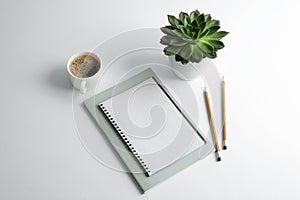 Copybooks, cup of coffee, pencils and succulent plant on white background