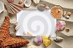 Copyspace blank space summer starfish sand shells