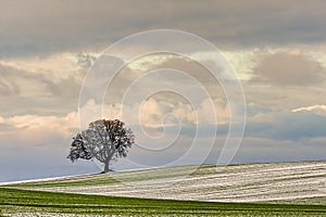 Copy-space of Minimalist winter Landscape