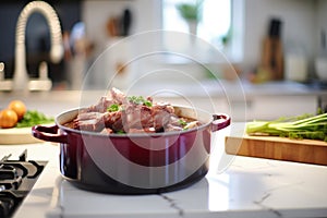 coq au vin in a pot, viewed from the side, kitchen backdrop