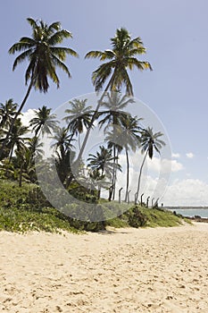 Coqueirinho beach, Conde PB, Brazil