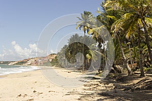 Coqueirinho beach, Conde PB, Brazil