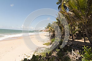 Coqueirinho beach, Conde PB, Brazil