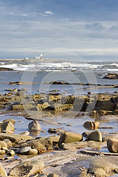 Coquet island