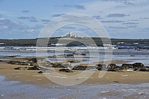 Coquet Island.