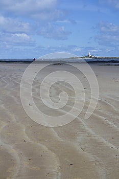 Coquet Island.