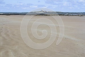 Coquet Island.