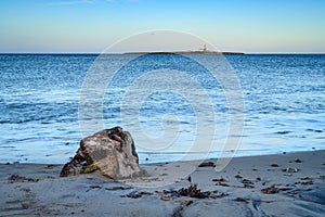 Coquet Island and Driftwood on Beach