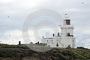 Coquet Island Lighthouse