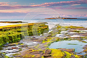 Coquet Island of Low Hauxley Coastline