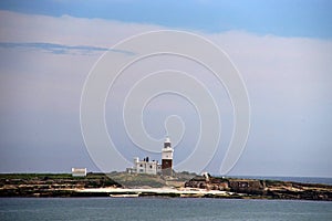 Coquet Island, Northumberland RSPB Reserve