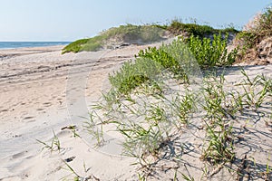 Coquina Beach at Cape Hatteras National Seashore