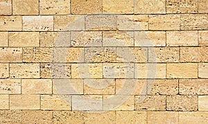 Coquina, shelly house limestone wall textured background. photo