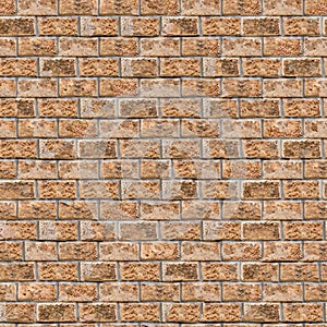 Coquina Wall. Seamless Tileable Texture.