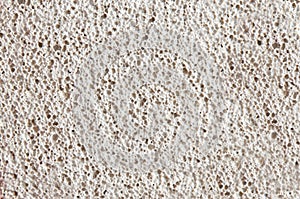 Coquinoid limestone photo