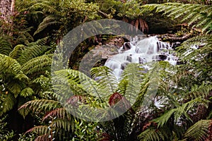 Cora Lynn Falls in Marysville Australia