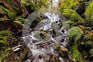 Cora Lynn Falls in Marysville Australia