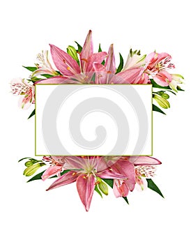 Coral alstroemeria, lily flowers, buds and green leaves in a floral arrangement with white empty card for text isolated on white