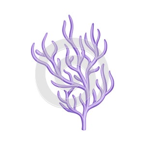 Coral as Marine Invertebrate from Ocean Bottom Vector Illustration