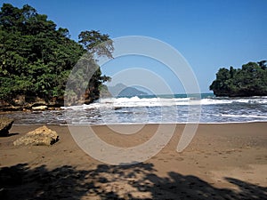 Coral and beach